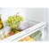 Refrigerator Freggia LSB3000. Photo 4